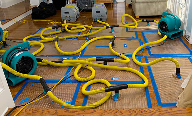 Professional Structural Drying And Dehumidification technician working in Shenandoah, IA